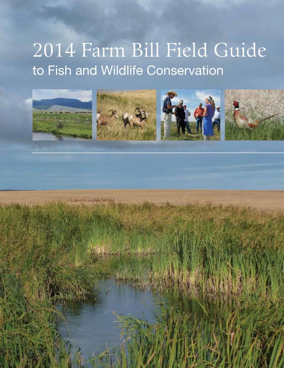 Field guide cover