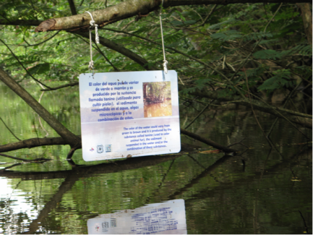 One of the aquatic interpretative signs developed by PECES for the Humacao Natural Reserves. 