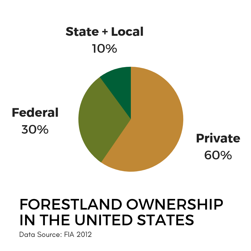 Pie chart depicting U.S. forest ownership