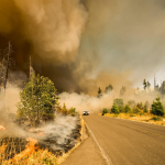 Wildfire burns over rural road in western state
