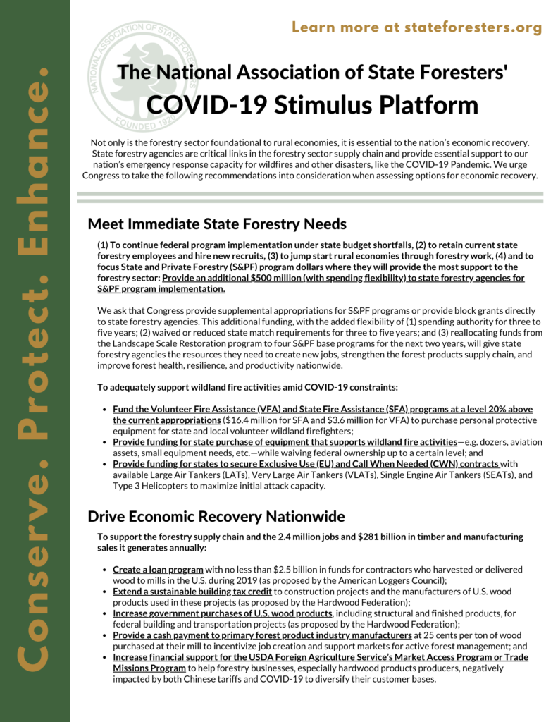 Page one of COVID-19 Stimulus Platform