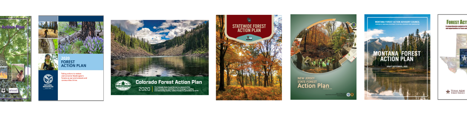Forest Action Plans