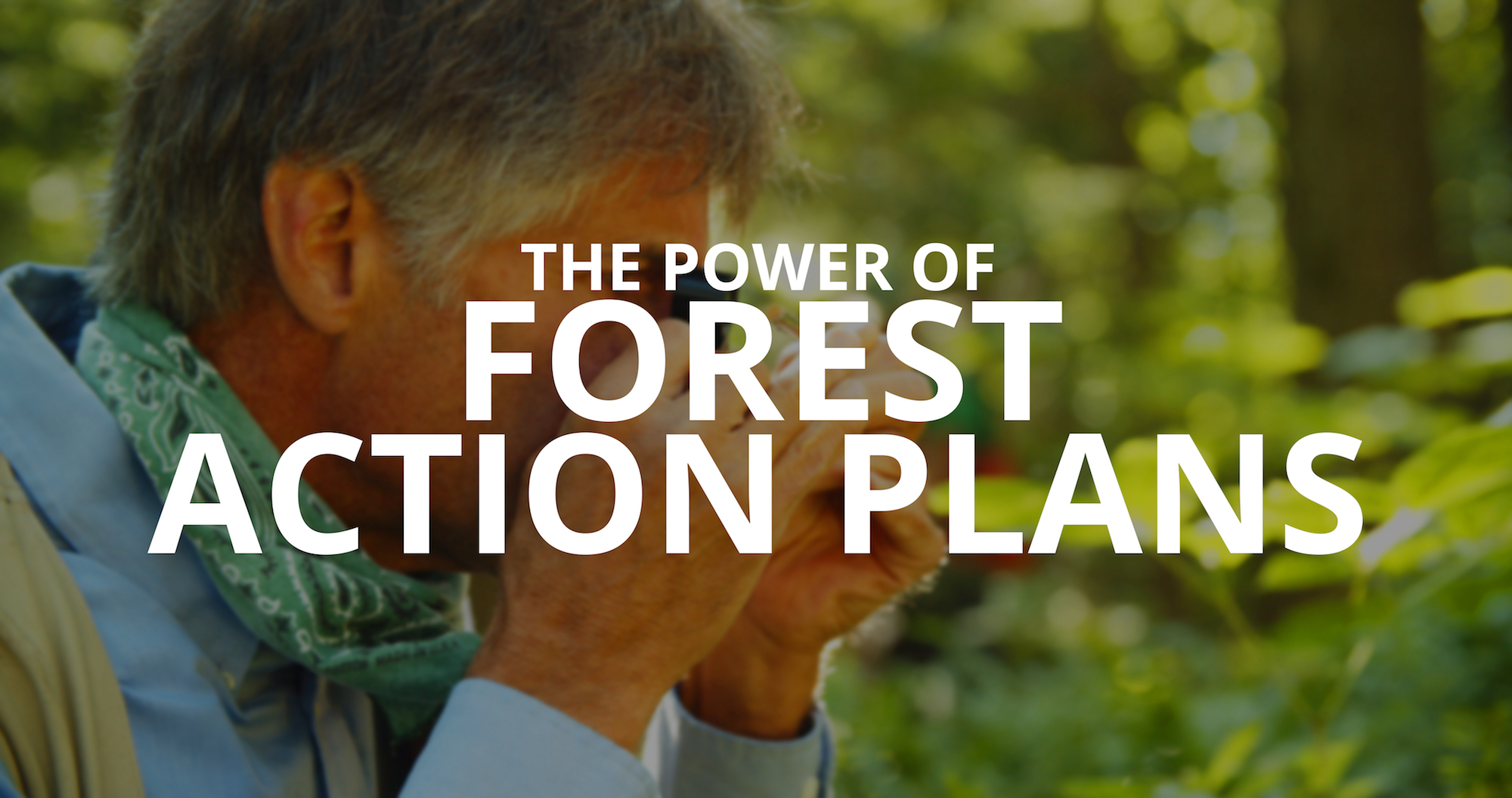 Text "The power of Forest Action Plans" over a picture of a professional forester