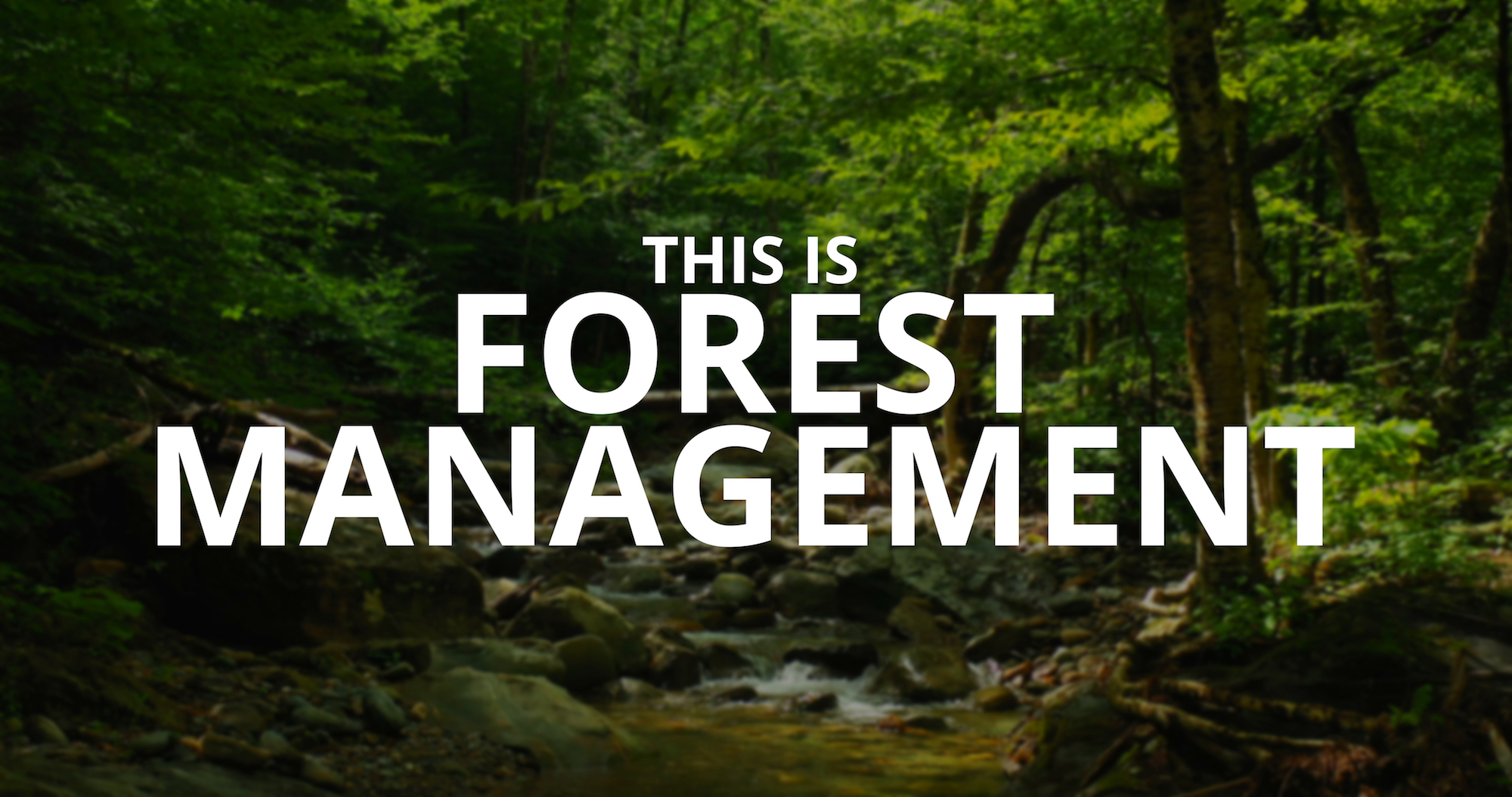 Text "This is Forest Management" over a picture of a forest stream