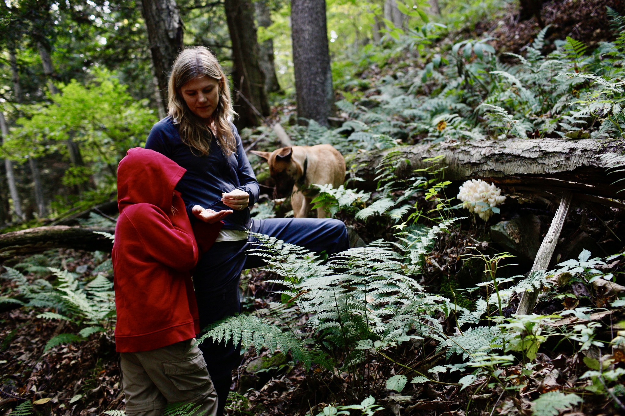 Woman, young girl, and dog walking through a mature forest in Maryland