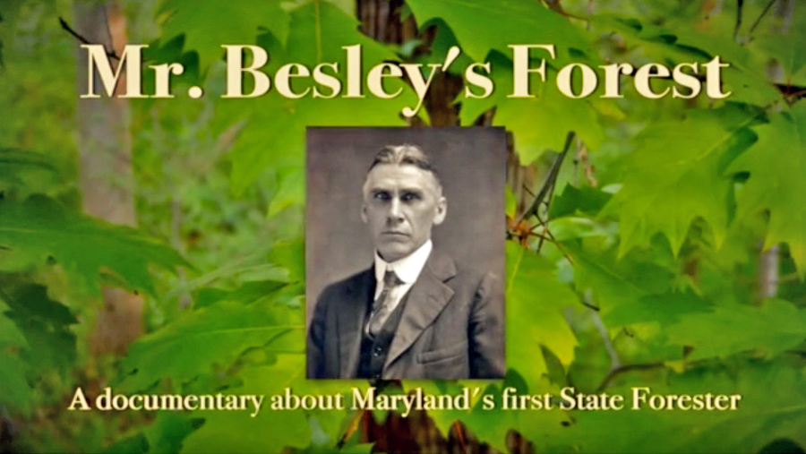 cover image for "Mr. Besley's Forest"