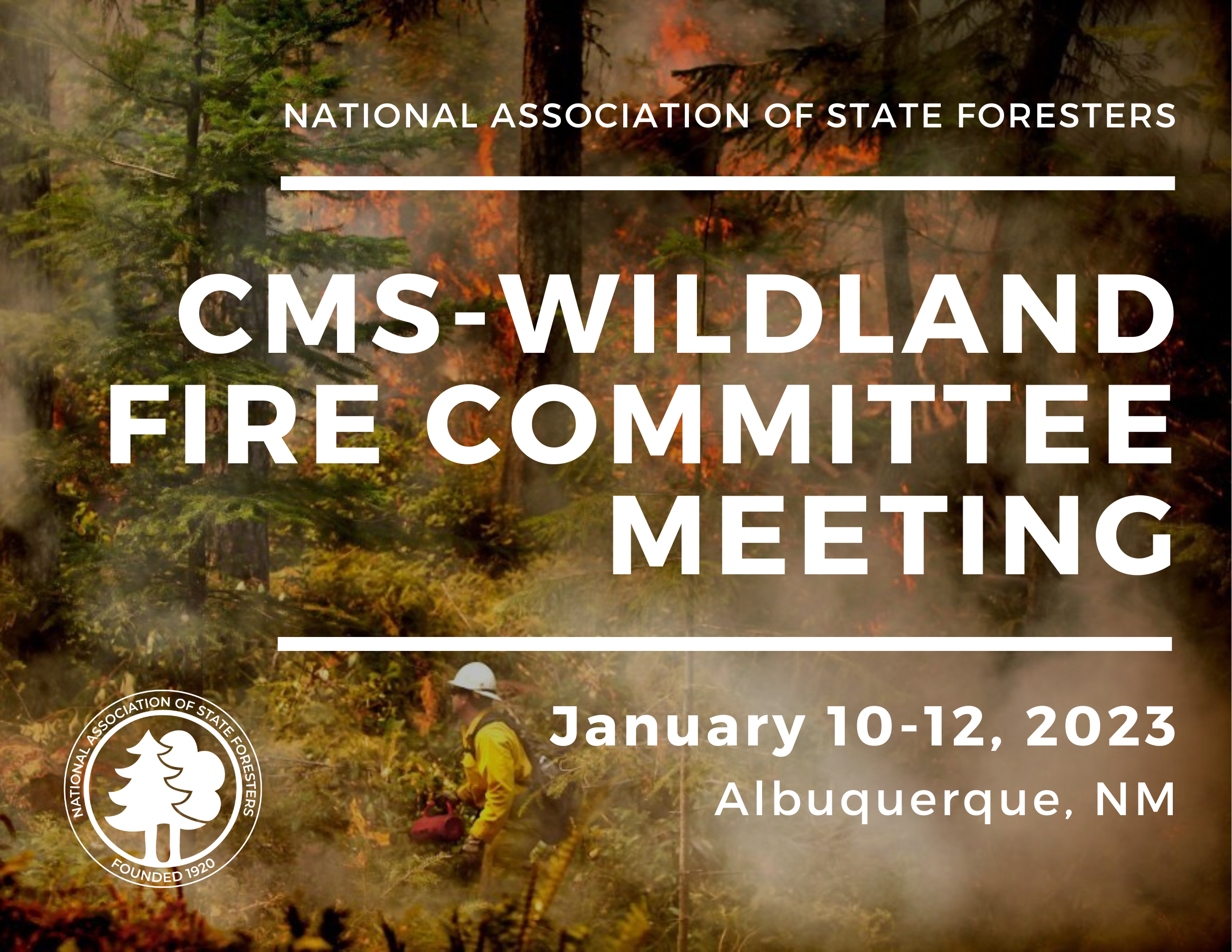 CMS Meeting save the date