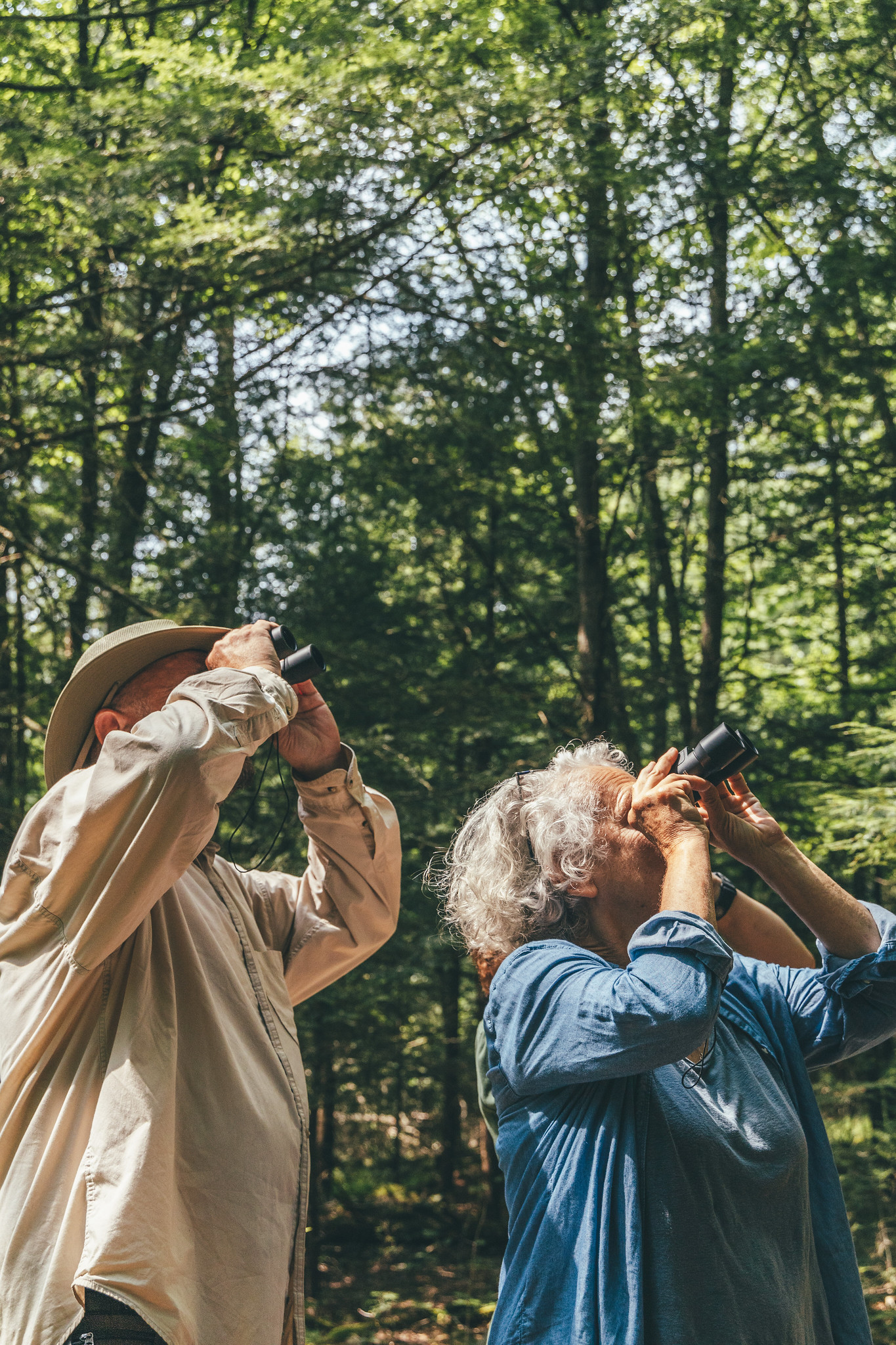 Two New York forest landowners, one man and one woman, look through their binoculars