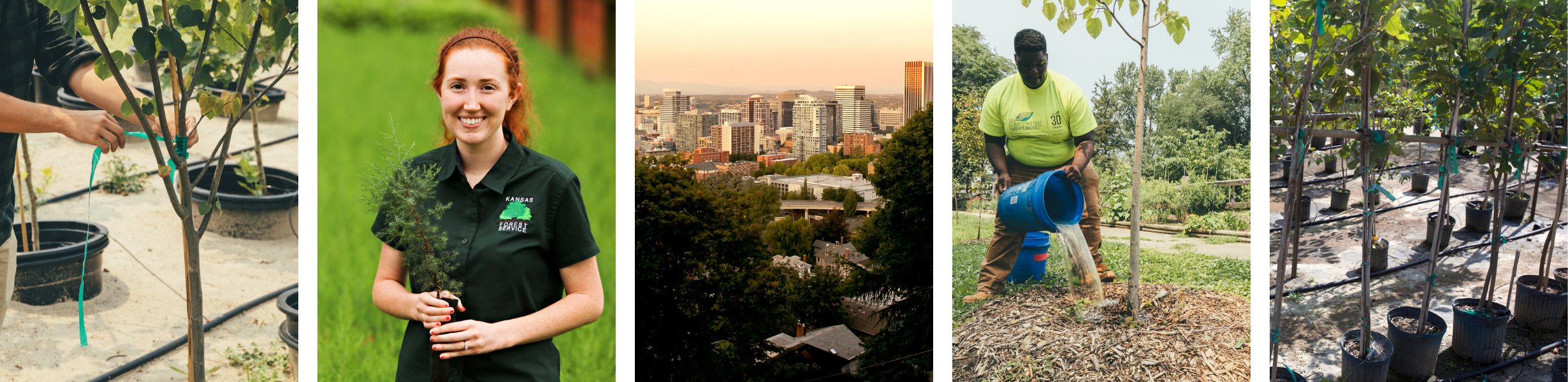 Six photos depicted urban and community forestry